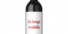 enoteca-san-guido-bolgheri-vino