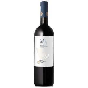 ruit-hora-caccia-al-piano-bolgheri