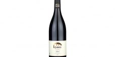 Pinot Nero Carlotto