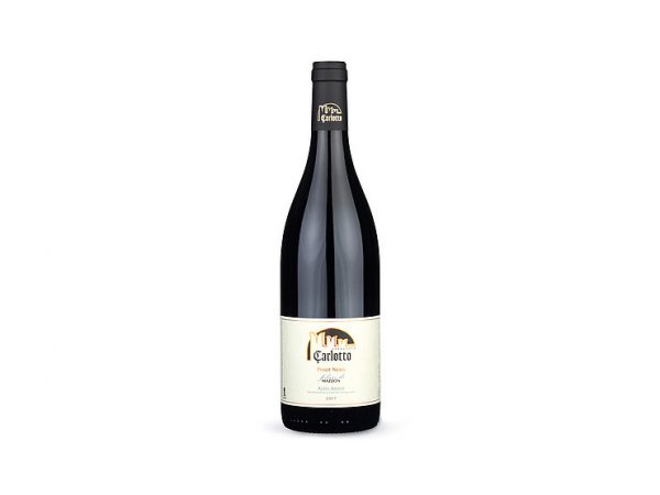 Pinot Nero Carlotto